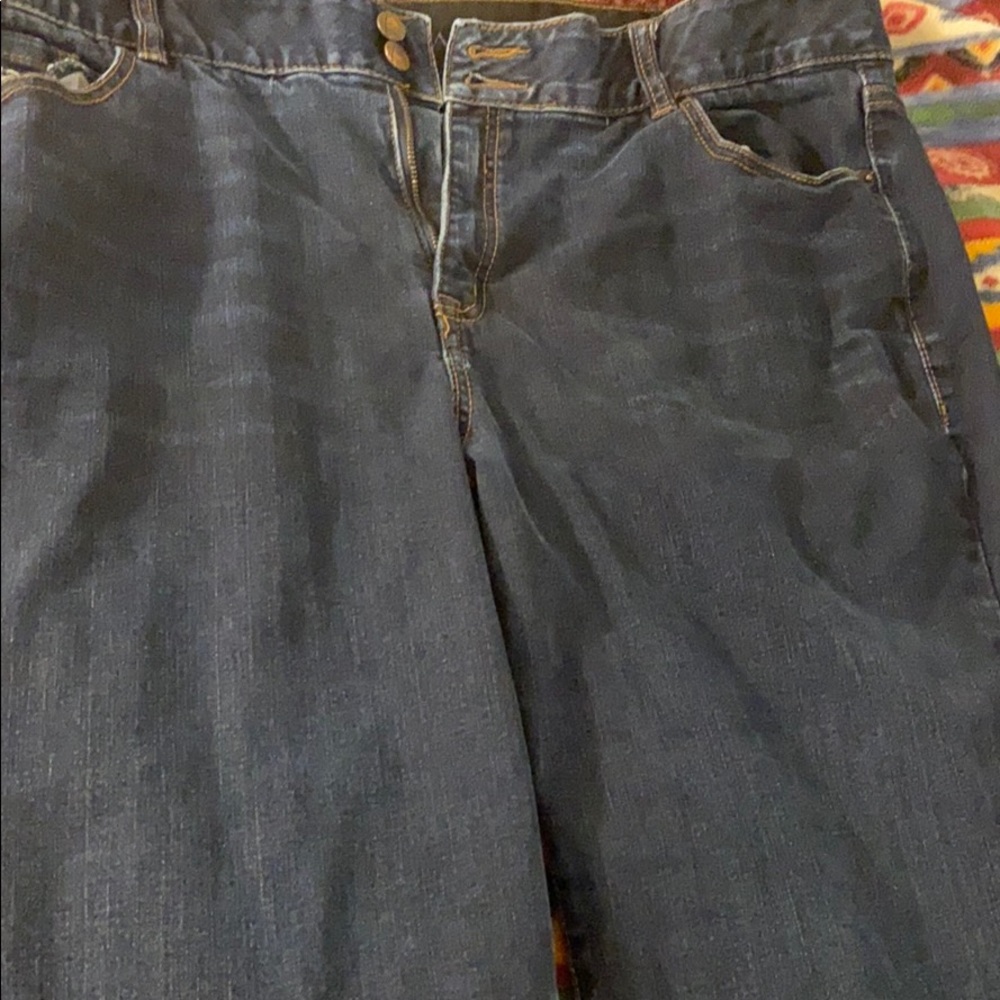 Lane Bryant Blue Jeans.